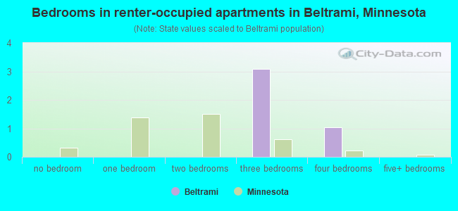 Bedrooms in renter-occupied apartments in Beltrami, Minnesota