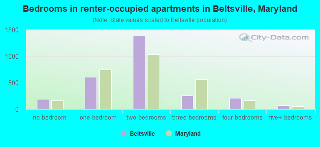 Bedrooms in renter-occupied apartments in Beltsville, Maryland