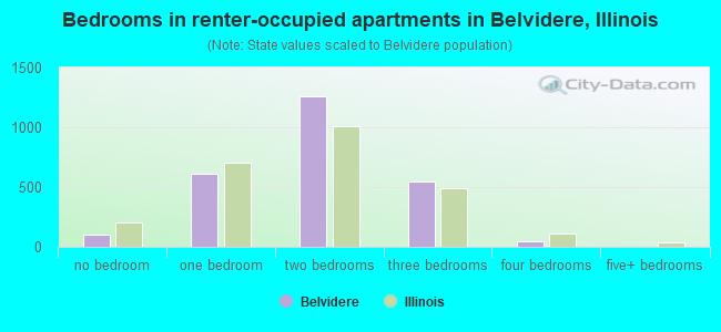 Bedrooms in renter-occupied apartments in Belvidere, Illinois