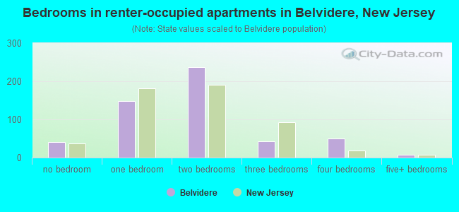 Bedrooms in renter-occupied apartments in Belvidere, New Jersey