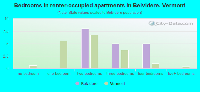 Bedrooms in renter-occupied apartments in Belvidere, Vermont