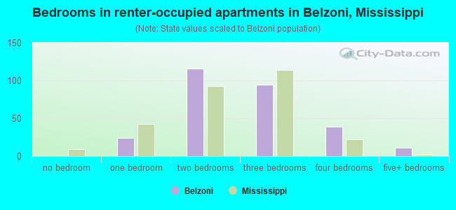 Bedrooms in renter-occupied apartments in Belzoni, Mississippi