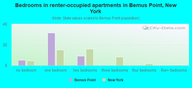 Bedrooms in renter-occupied apartments in Bemus Point, New York
