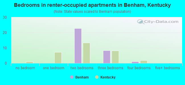 Bedrooms in renter-occupied apartments in Benham, Kentucky