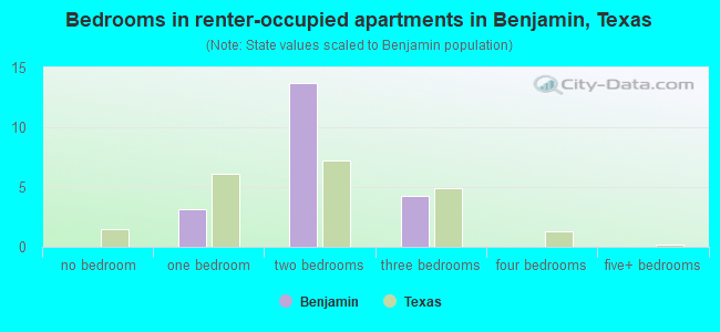 Bedrooms in renter-occupied apartments in Benjamin, Texas