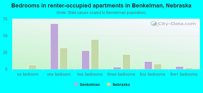 Bedrooms in renter-occupied apartments in Benkelman, Nebraska