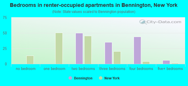 Bedrooms in renter-occupied apartments in Bennington, New York