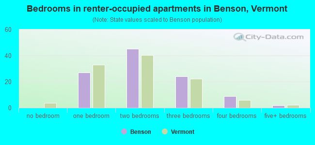 Bedrooms in renter-occupied apartments in Benson, Vermont