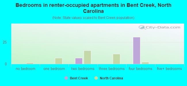 Bedrooms in renter-occupied apartments in Bent Creek, North Carolina