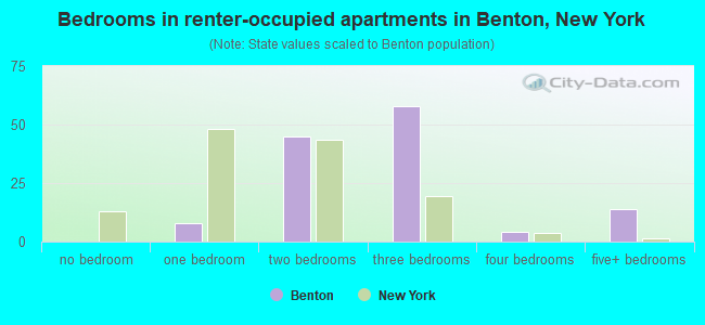 Bedrooms in renter-occupied apartments in Benton, New York