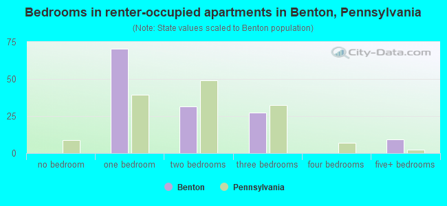 Bedrooms in renter-occupied apartments in Benton, Pennsylvania