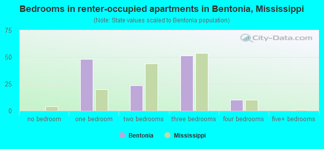 Bedrooms in renter-occupied apartments in Bentonia, Mississippi