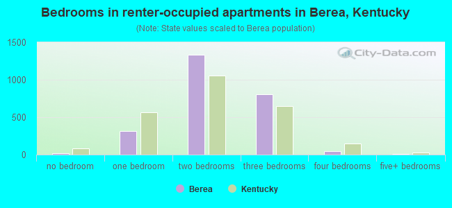 Bedrooms in renter-occupied apartments in Berea, Kentucky