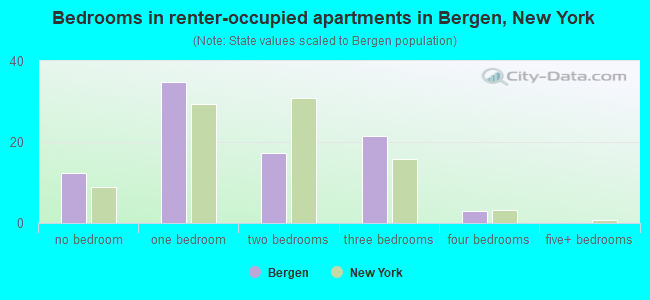 Bedrooms in renter-occupied apartments in Bergen, New York