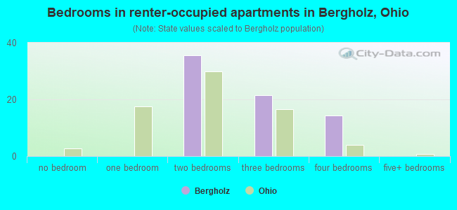 Bedrooms in renter-occupied apartments in Bergholz, Ohio