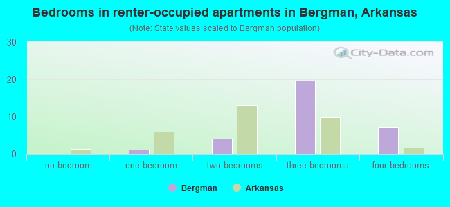 Bedrooms in renter-occupied apartments in Bergman, Arkansas