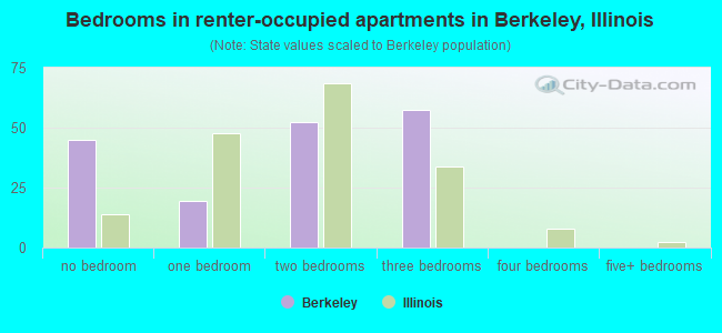 Bedrooms in renter-occupied apartments in Berkeley, Illinois