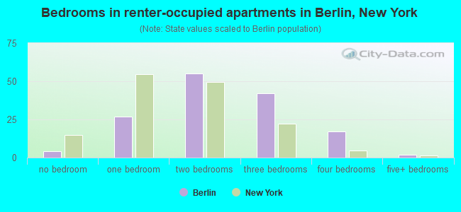 Bedrooms in renter-occupied apartments in Berlin, New York