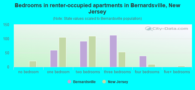 Bedrooms in renter-occupied apartments in Bernardsville, New Jersey