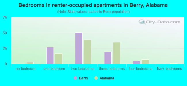 Bedrooms in renter-occupied apartments in Berry, Alabama