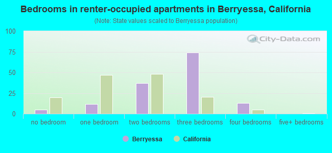 Bedrooms in renter-occupied apartments in Berryessa, California