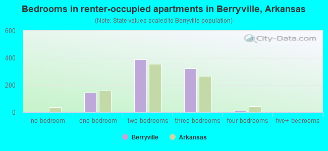 Bedrooms in renter-occupied apartments in Berryville, Arkansas