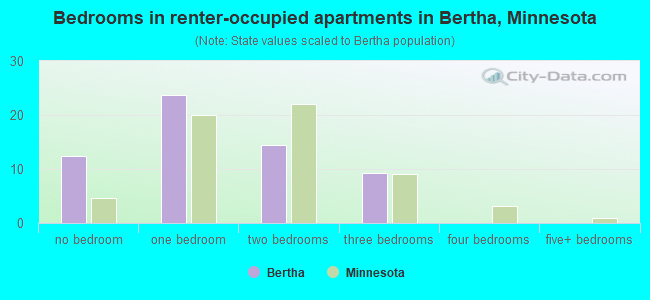 Bedrooms in renter-occupied apartments in Bertha, Minnesota