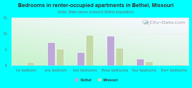 Bedrooms in renter-occupied apartments in Bethel, Missouri