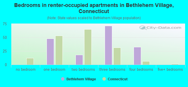 Bedrooms in renter-occupied apartments in Bethlehem Village, Connecticut