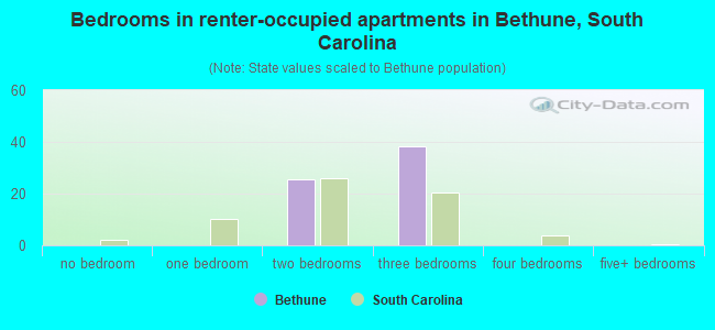 Bedrooms in renter-occupied apartments in Bethune, South Carolina