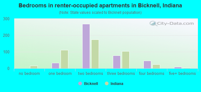Bedrooms in renter-occupied apartments in Bicknell, Indiana