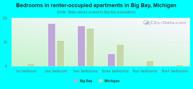 Bedrooms in renter-occupied apartments in Big Bay, Michigan