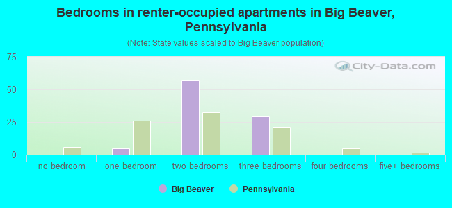 Bedrooms in renter-occupied apartments in Big Beaver, Pennsylvania