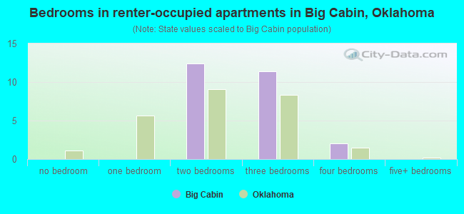 Bedrooms in renter-occupied apartments in Big Cabin, Oklahoma