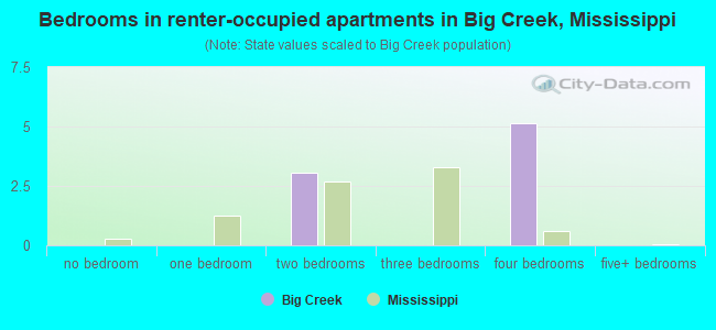 Bedrooms in renter-occupied apartments in Big Creek, Mississippi