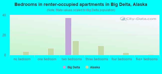 Bedrooms in renter-occupied apartments in Big Delta, Alaska