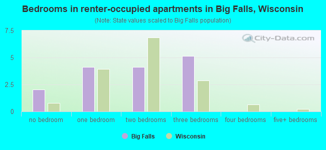 Bedrooms in renter-occupied apartments in Big Falls, Wisconsin