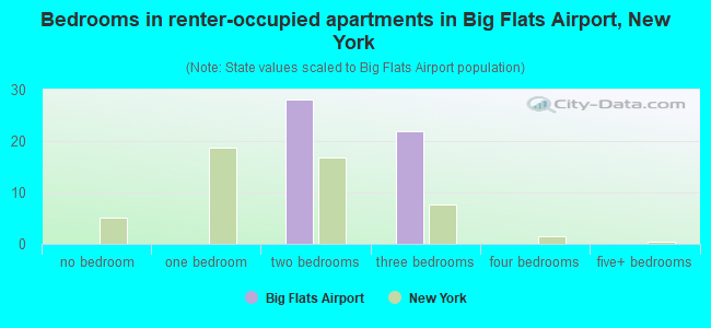 Bedrooms in renter-occupied apartments in Big Flats Airport, New York