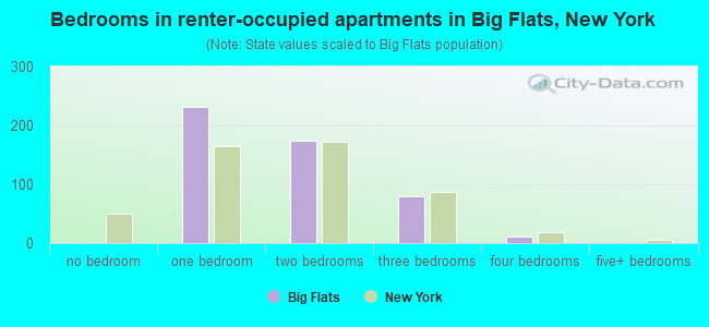 Bedrooms in renter-occupied apartments in Big Flats, New York