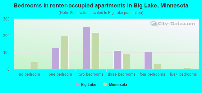 Bedrooms in renter-occupied apartments in Big Lake, Minnesota