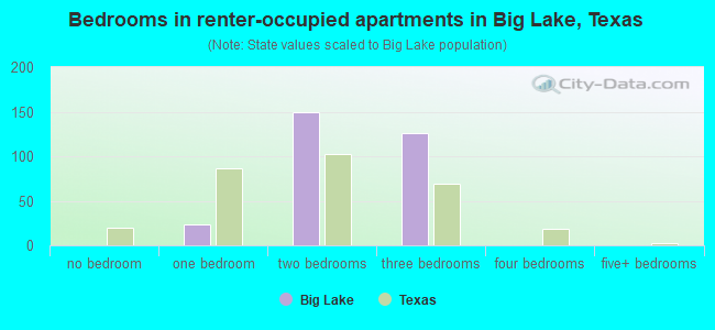 Bedrooms in renter-occupied apartments in Big Lake, Texas
