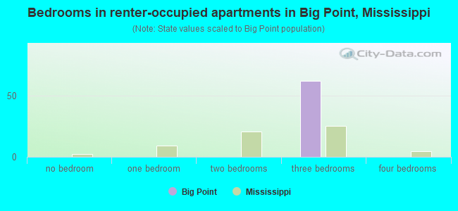 Bedrooms in renter-occupied apartments in Big Point, Mississippi
