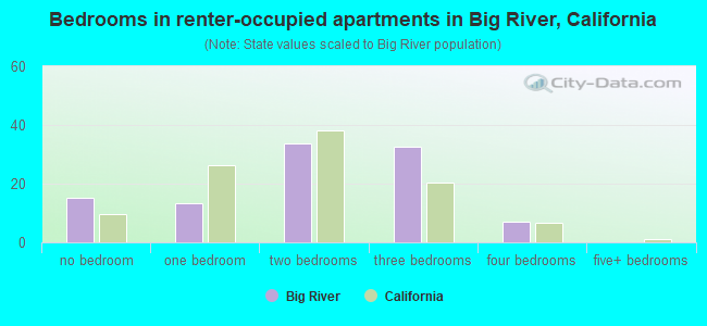 Bedrooms in renter-occupied apartments in Big River, California
