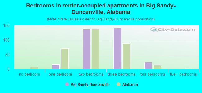 Bedrooms in renter-occupied apartments in Big Sandy-Duncanville, Alabama
