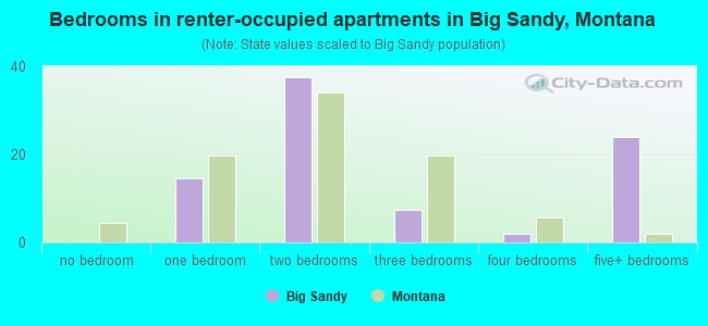 Bedrooms in renter-occupied apartments in Big Sandy, Montana