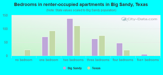 Bedrooms in renter-occupied apartments in Big Sandy, Texas