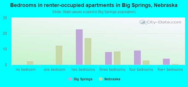Bedrooms in renter-occupied apartments in Big Springs, Nebraska