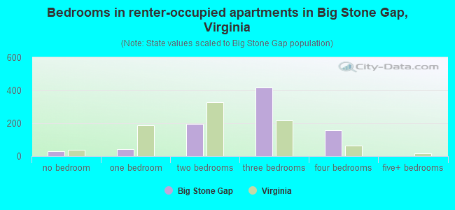 Bedrooms in renter-occupied apartments in Big Stone Gap, Virginia
