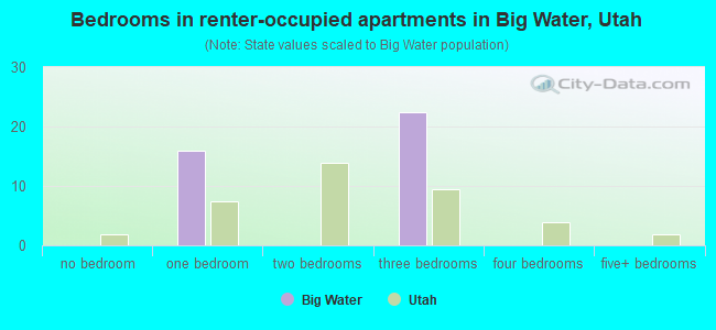 Bedrooms in renter-occupied apartments in Big Water, Utah