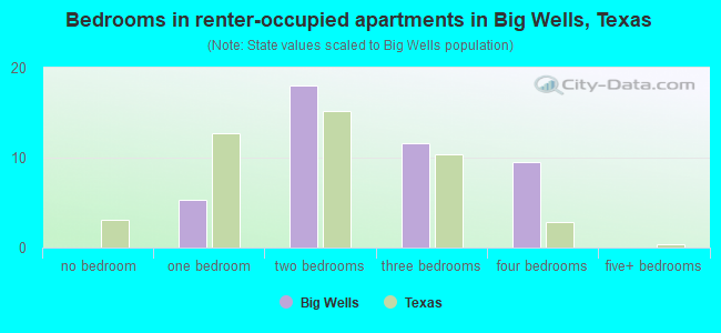 Bedrooms in renter-occupied apartments in Big Wells, Texas